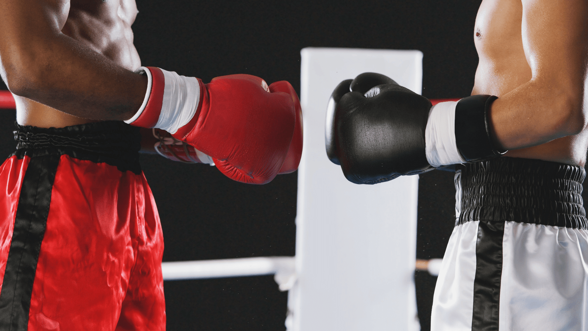 boxing the sweet science basics