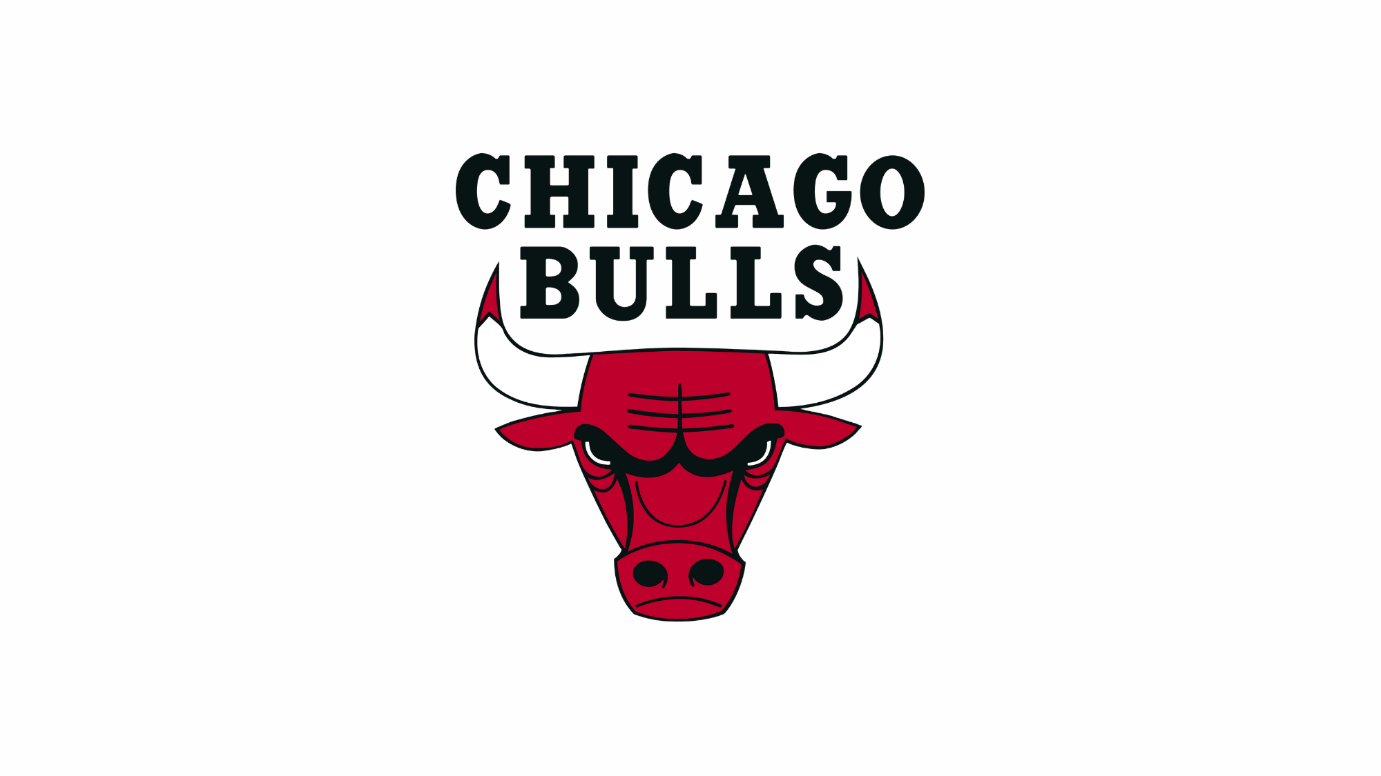 chicago bulls