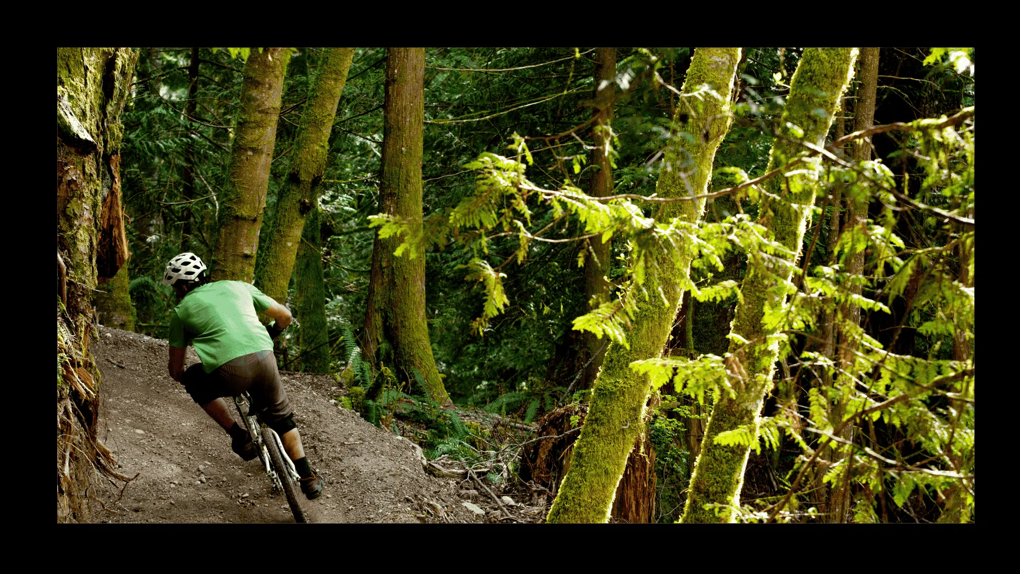 downhill mountain biking