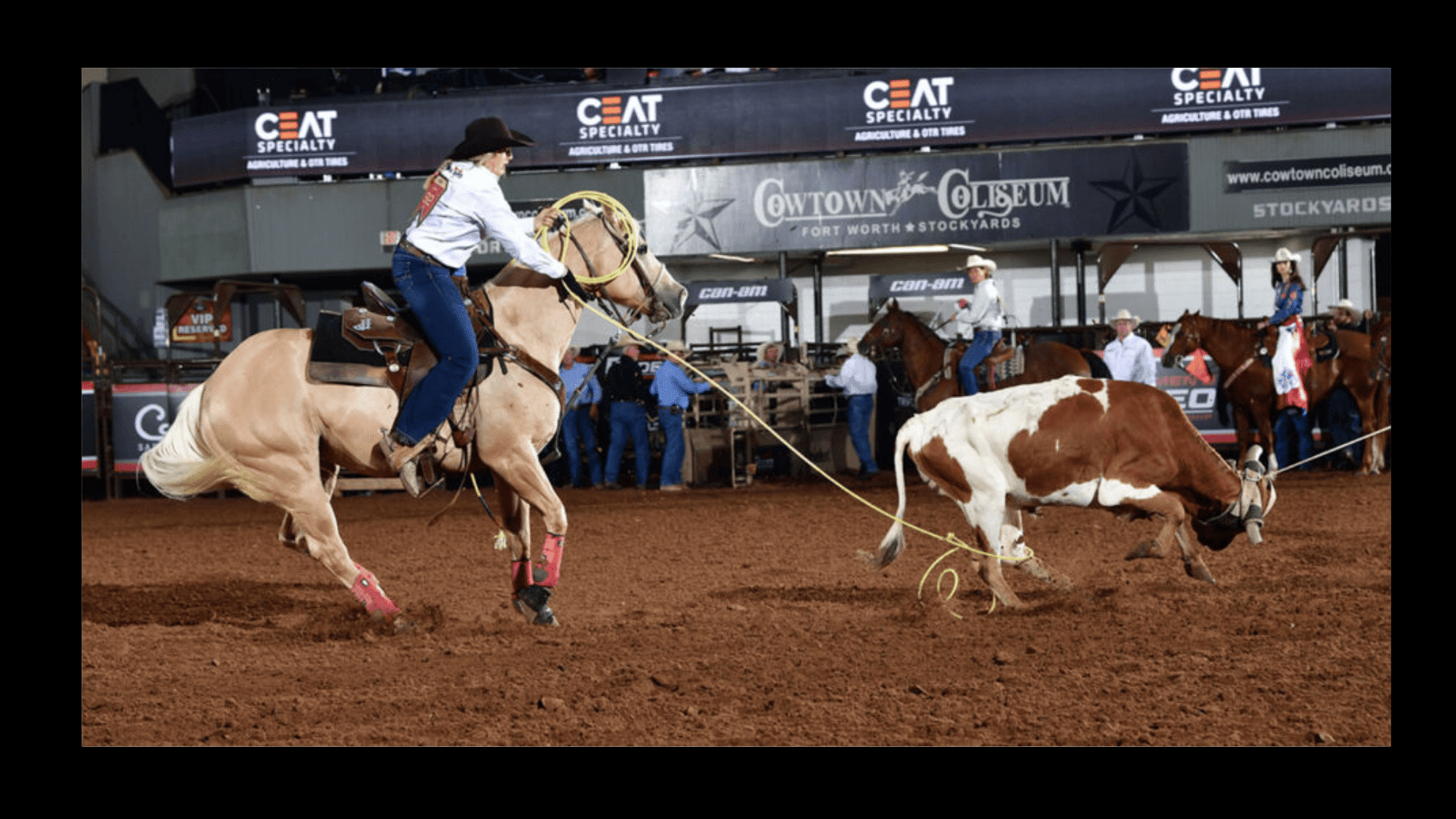 rodeo multiple events