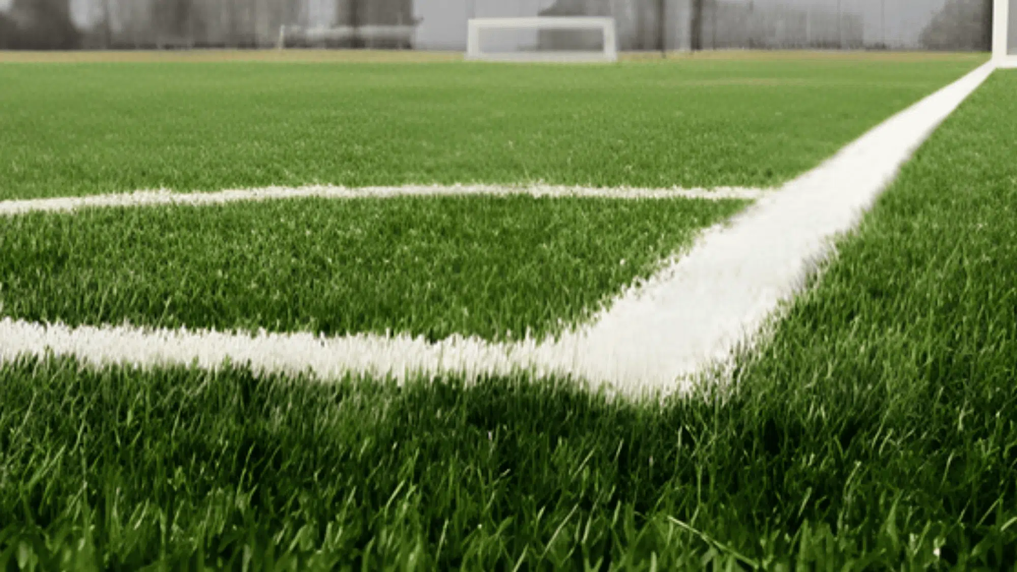 soccer field surfaces