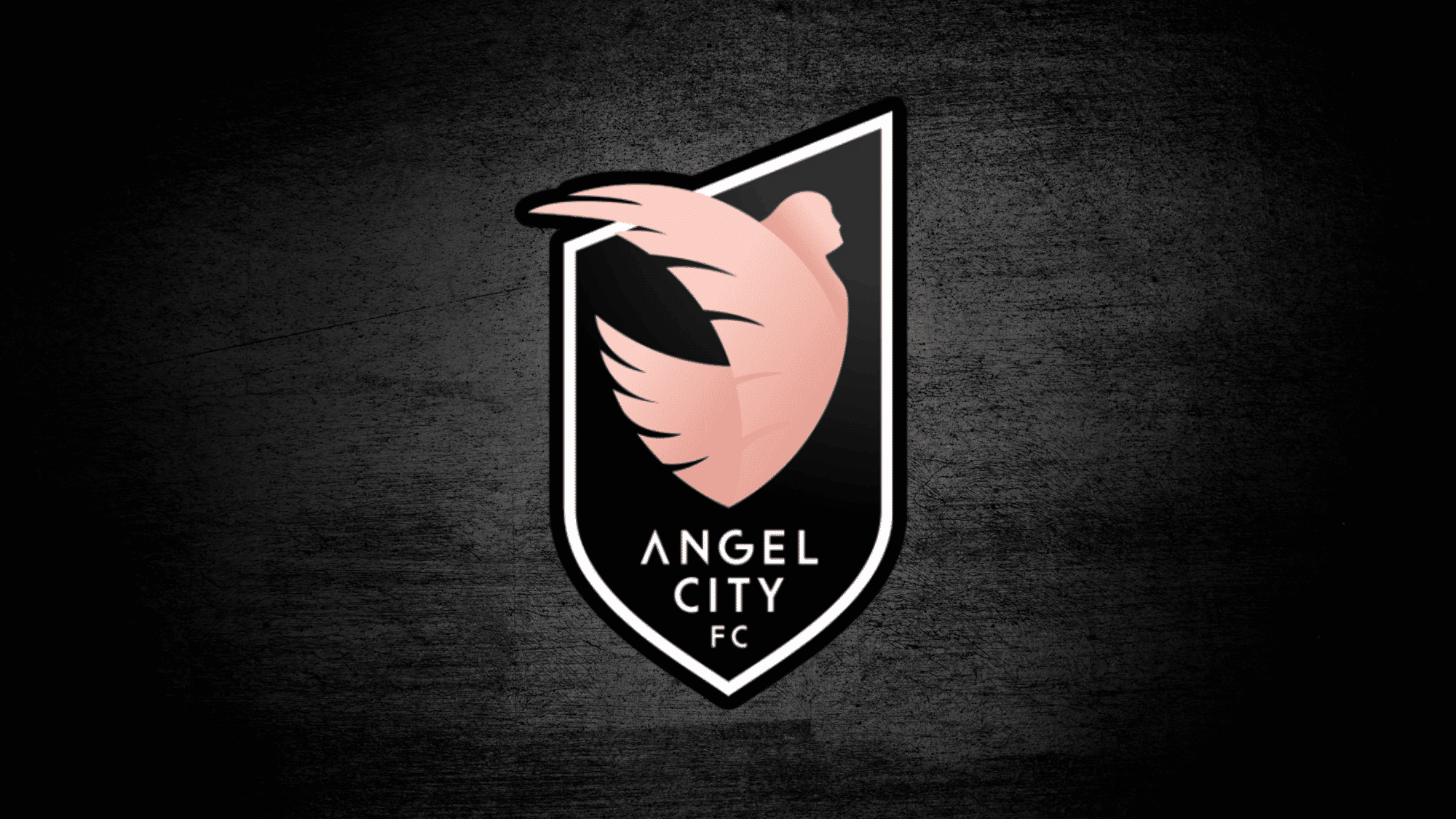 Sports Ownership: Angel City FC