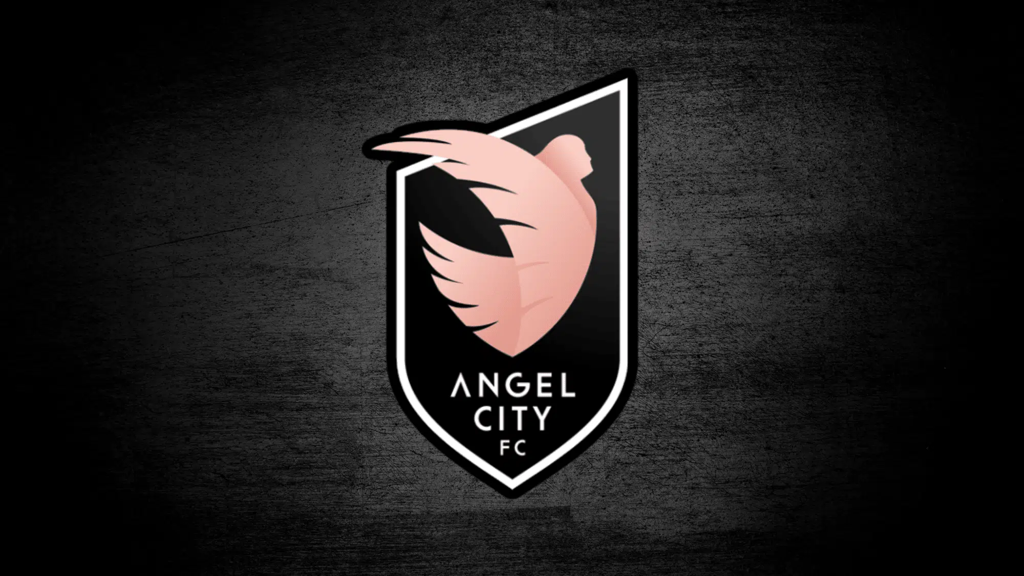 Sports Ownership: Angel City FC