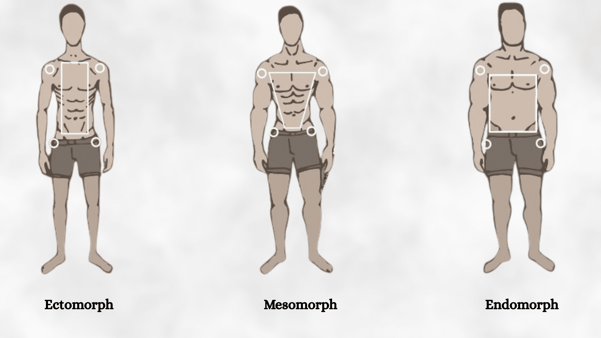 the 3 athletic body types