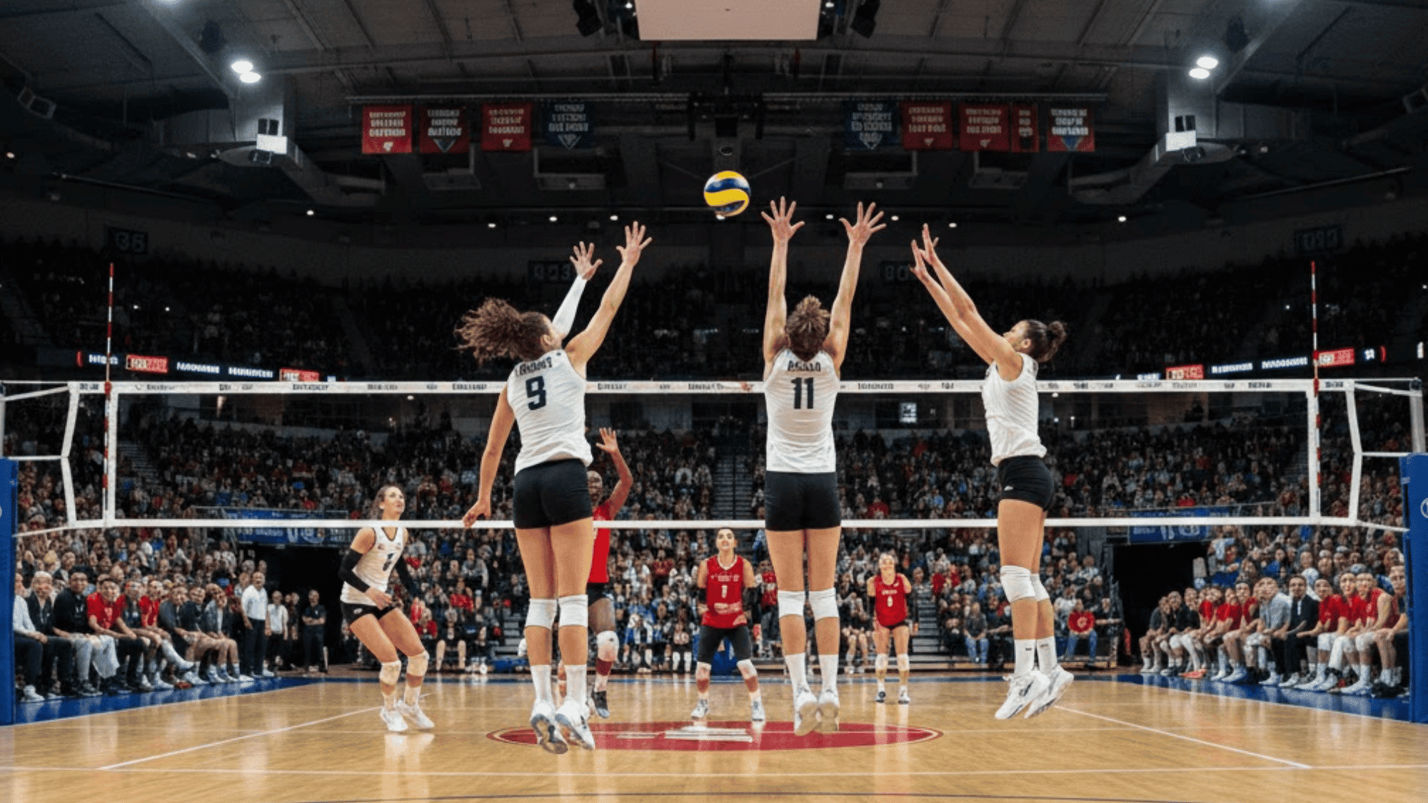 volleyball positions and roles a complete guide