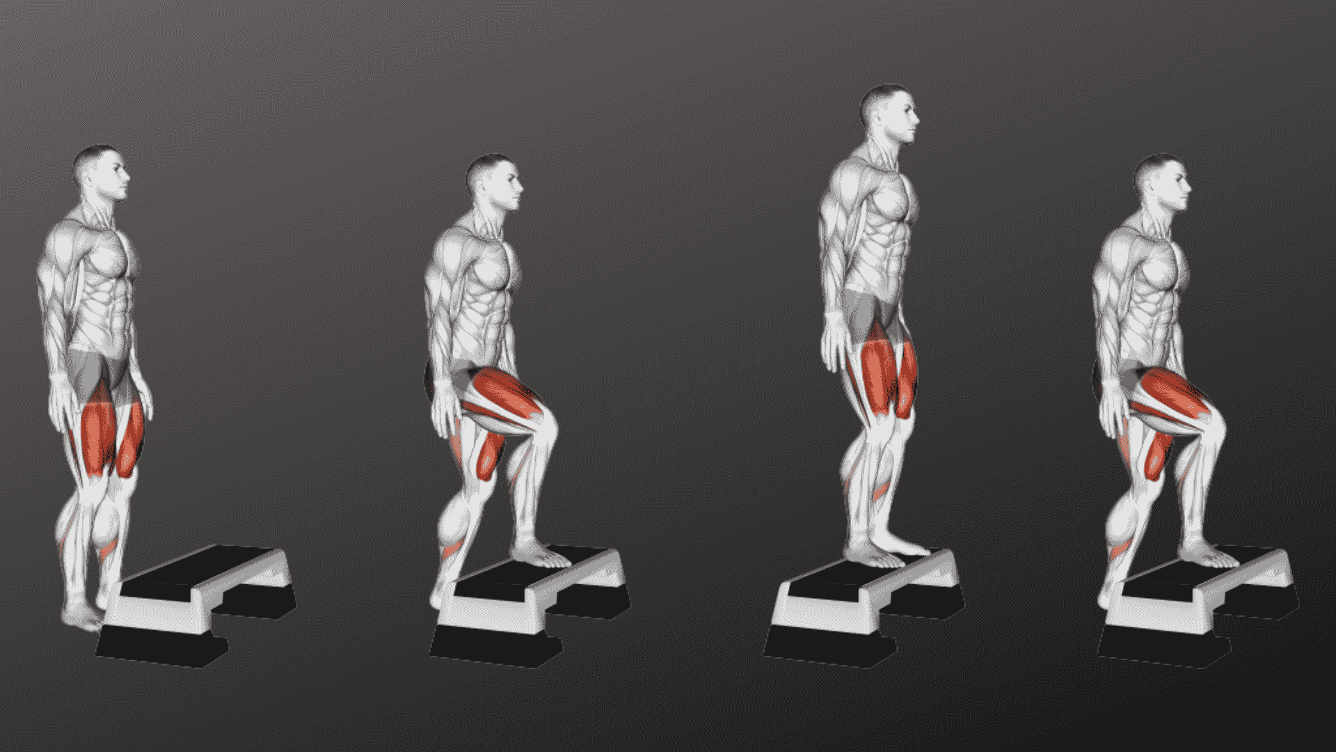 an anatomical male figure demonstrating a step up exercise with highlighted leg muscles on a platform