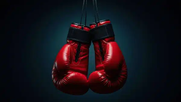 hanging red boxing gloves against 600nw 2619992285