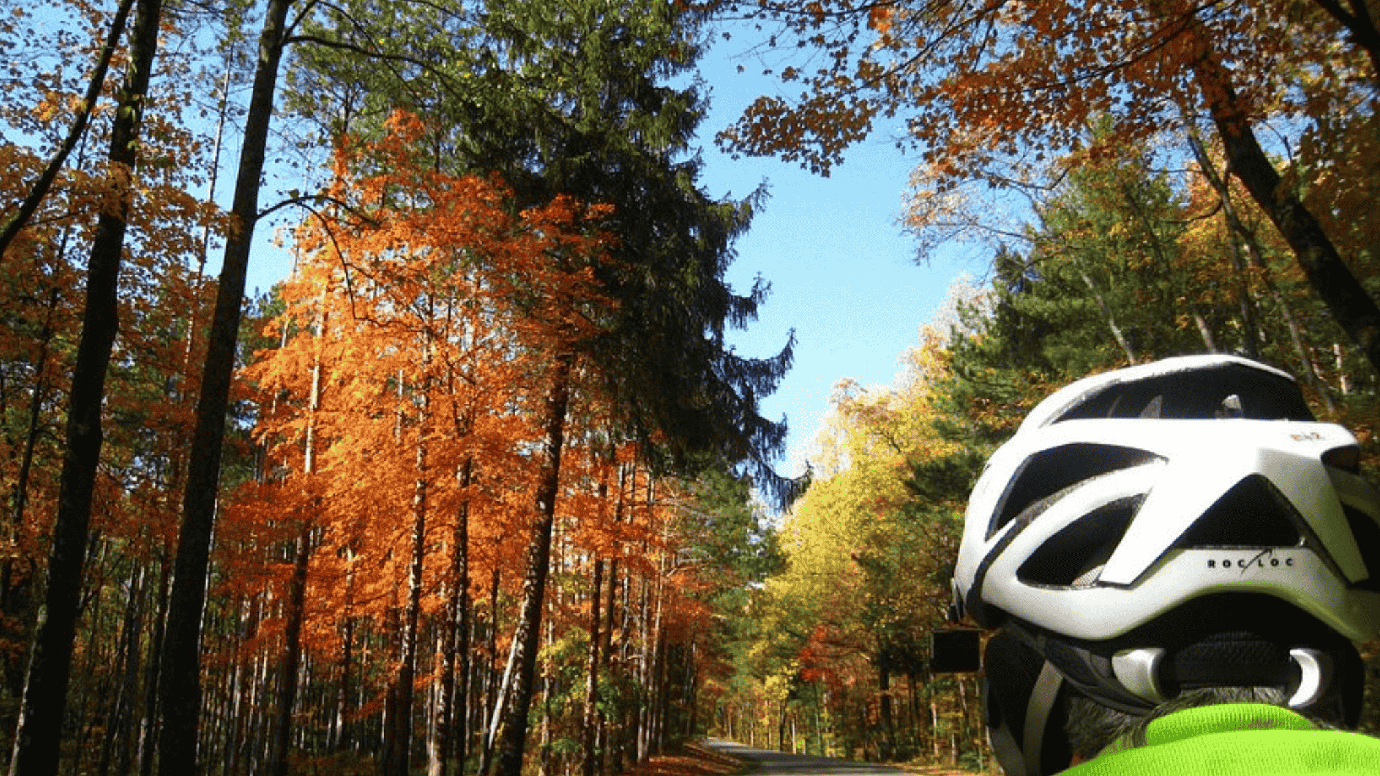 biker riding on forest road in indiana brown county state park with fall trees and colorful leaves