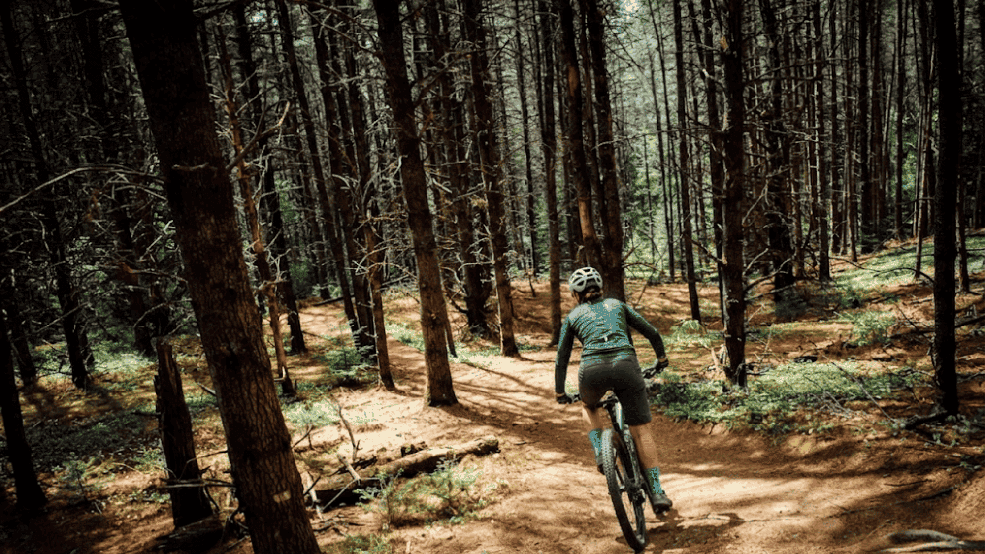 biker riding on forest trail in vermont kingdom trails surrounded by tall trees and dirt path