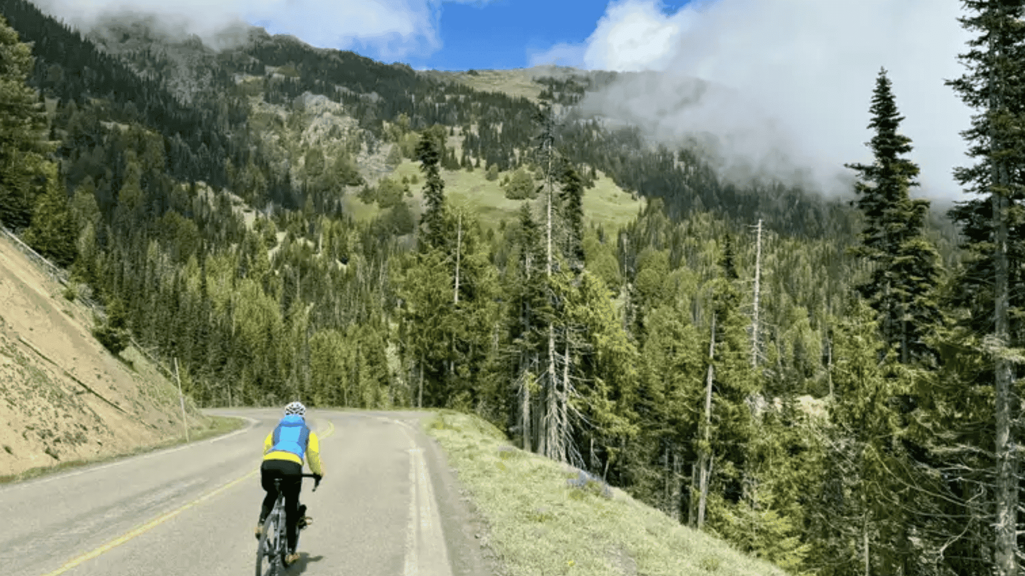 biker riding on mountain road in washington hurricane ridge with trees hills and cloudy sky