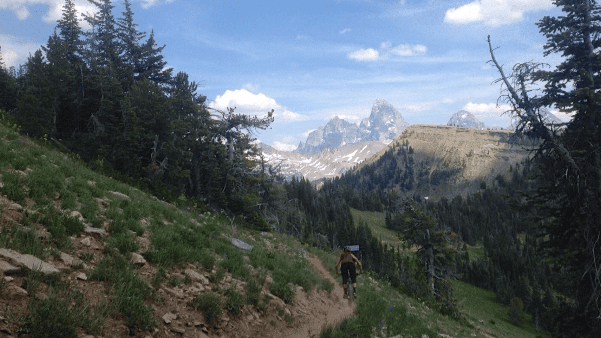 biker riding on mountain trail in wyoming grand targhee trails with trees hills and distant peaks