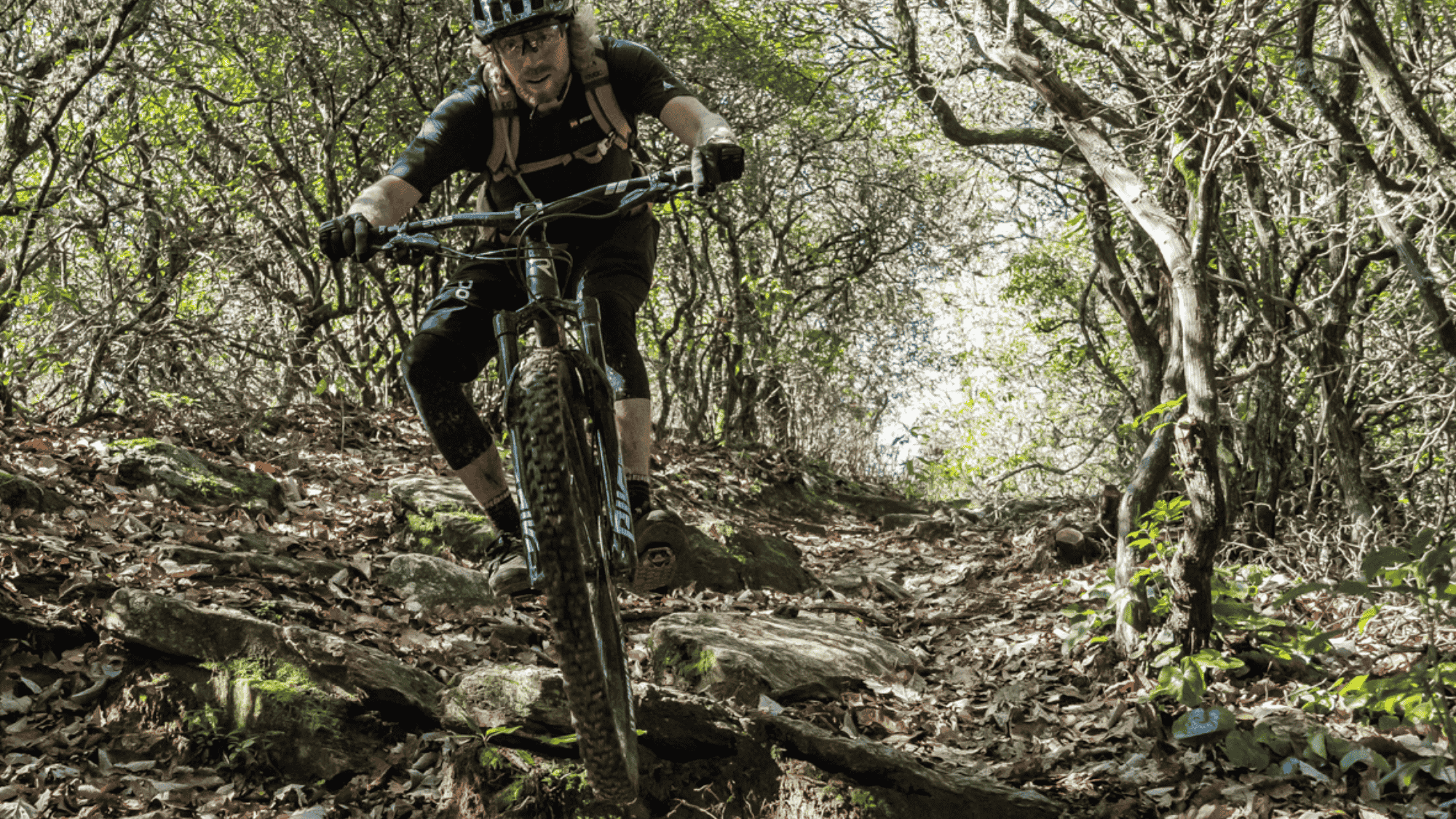 biker riding on rocky forest trail in north carolina brevard trails with trees roots and dirt path
