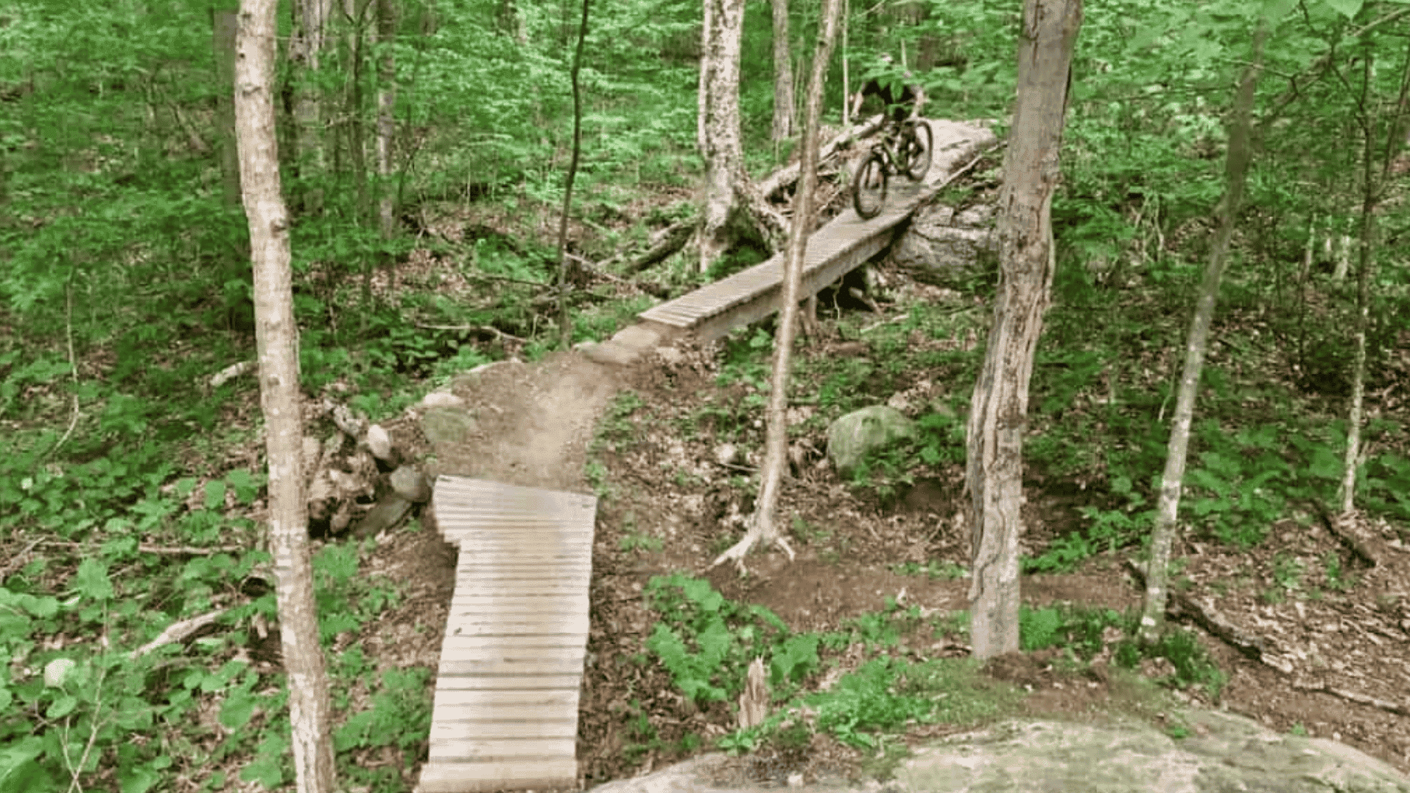 biker riding on wooden bridge in vermont stowe trails through green forest with narrow dirt path