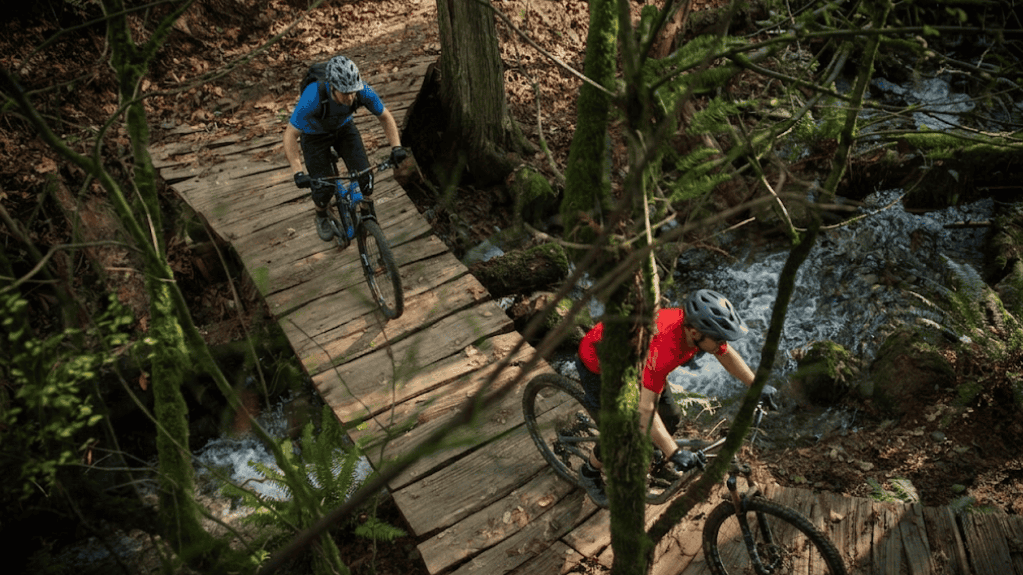 bikers riding over wooden bridge on forest trail in washington galbraith mountain with stream below