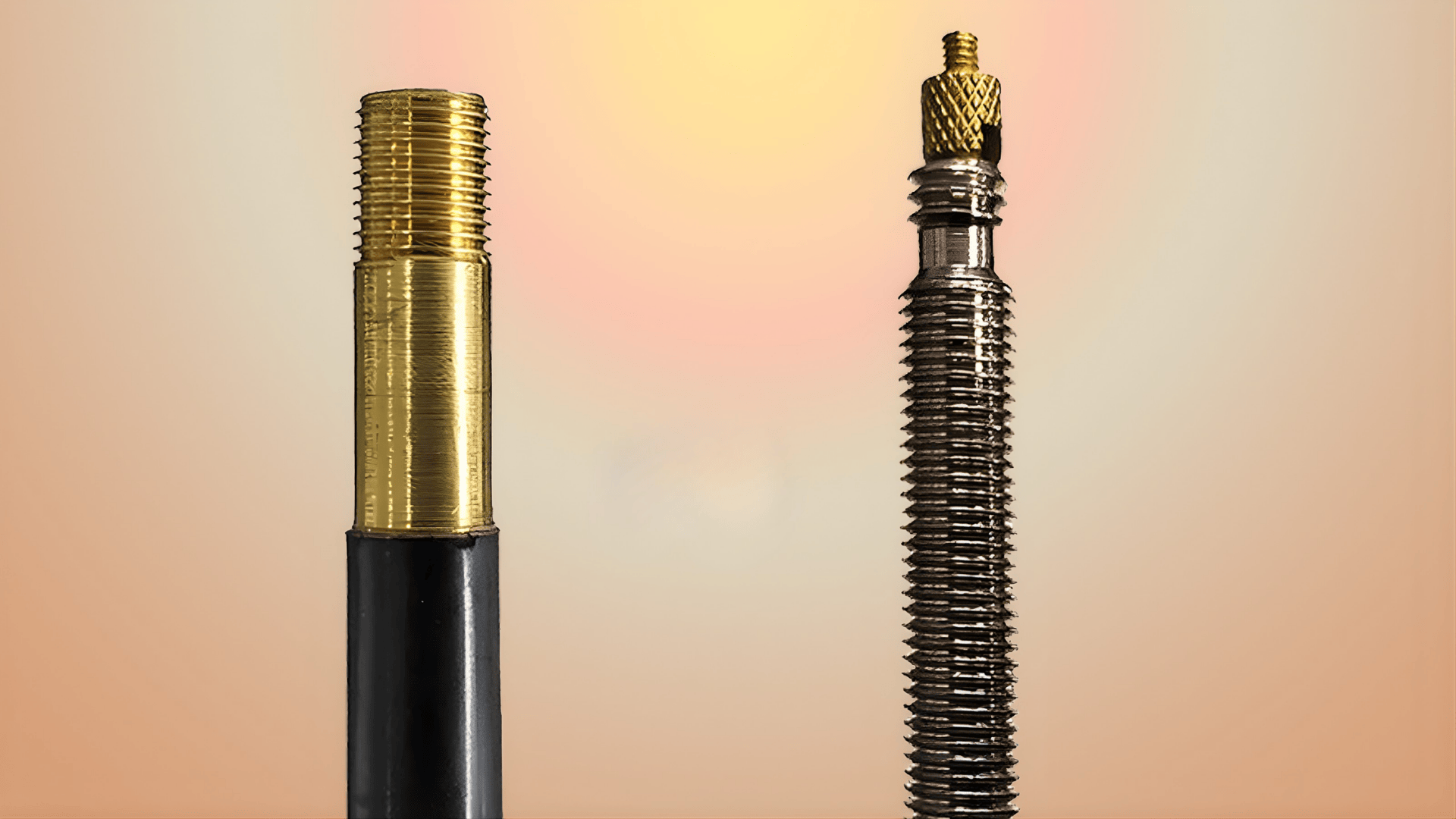 two types of bike tire valves shown side by side presta and schrader comparison for how to change bike tire setup