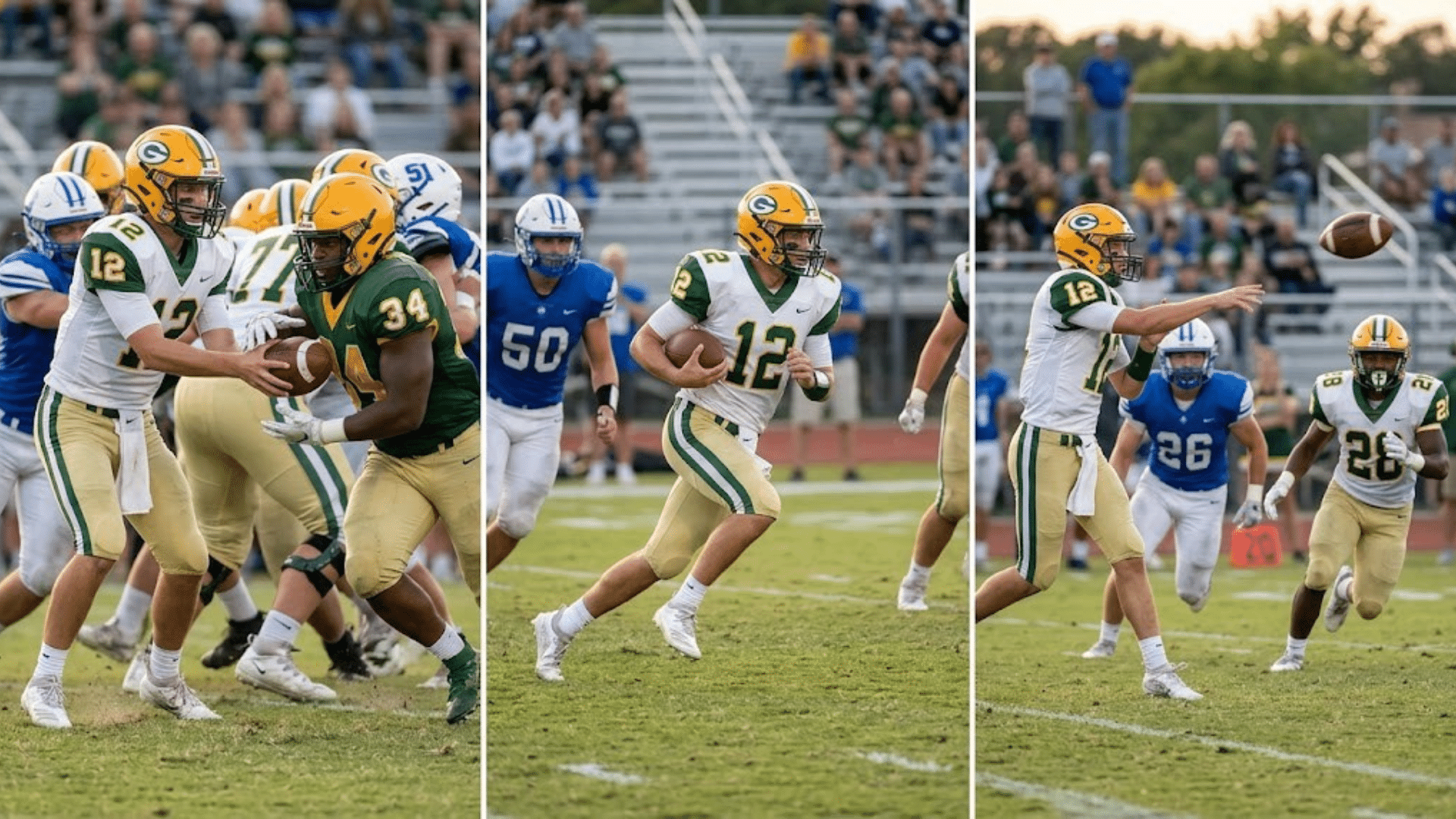 a football sequence showing a quarterback handing off to the fullback, then reaching for the ball.