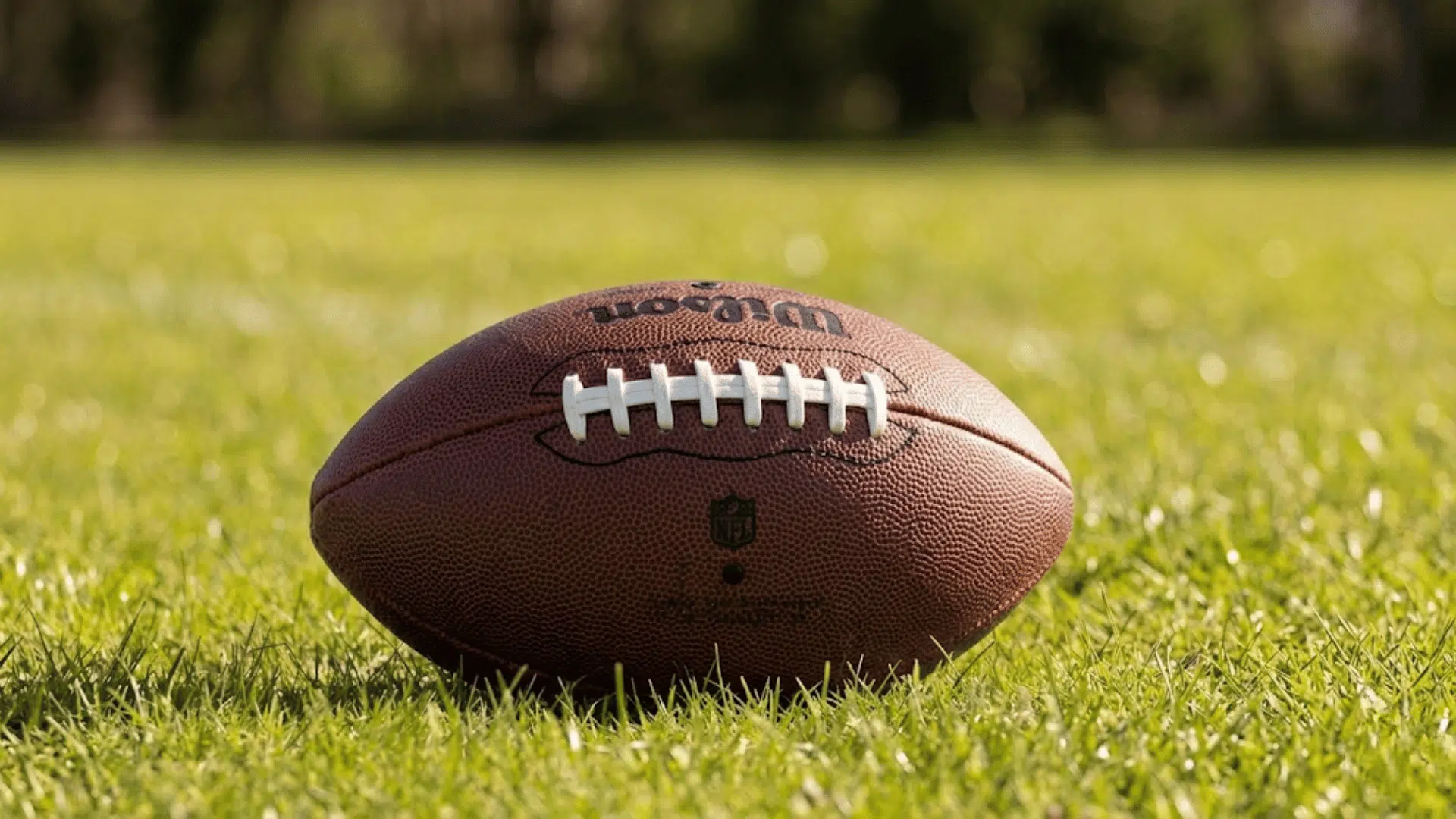 football facts image showing nfl football on a field with stadium lights and cheering fans during a game