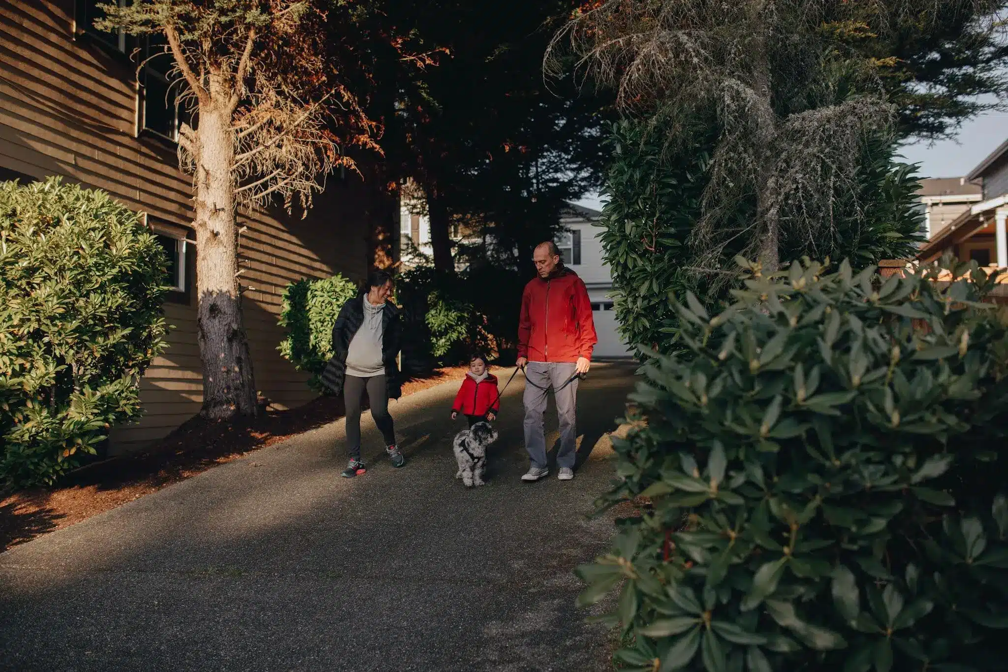Family walking with dog on sunny suburban path surrounded by trees and shrubs