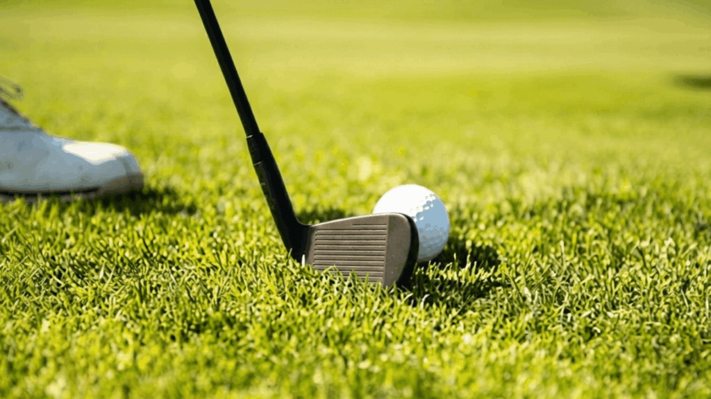 golf club and white ball positioned on green grass during a sunny day on the course