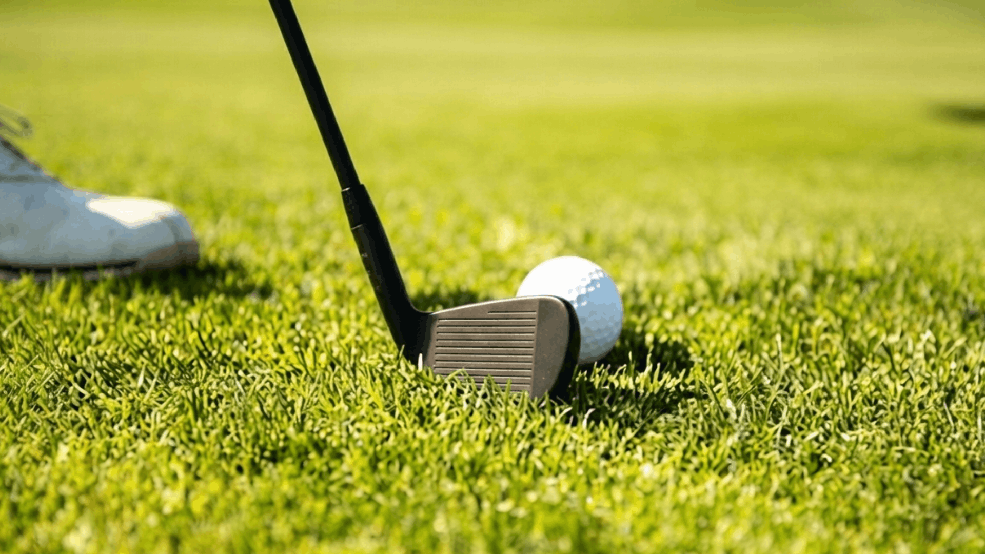 golf club and white ball positioned on green grass during a sunny day on the course