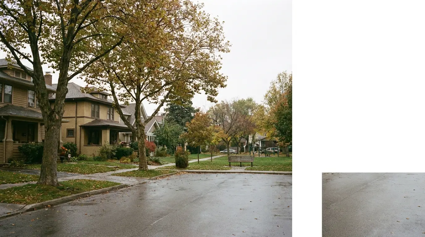 Residential street with wet pavement, lined with trees and houses under overcast sky