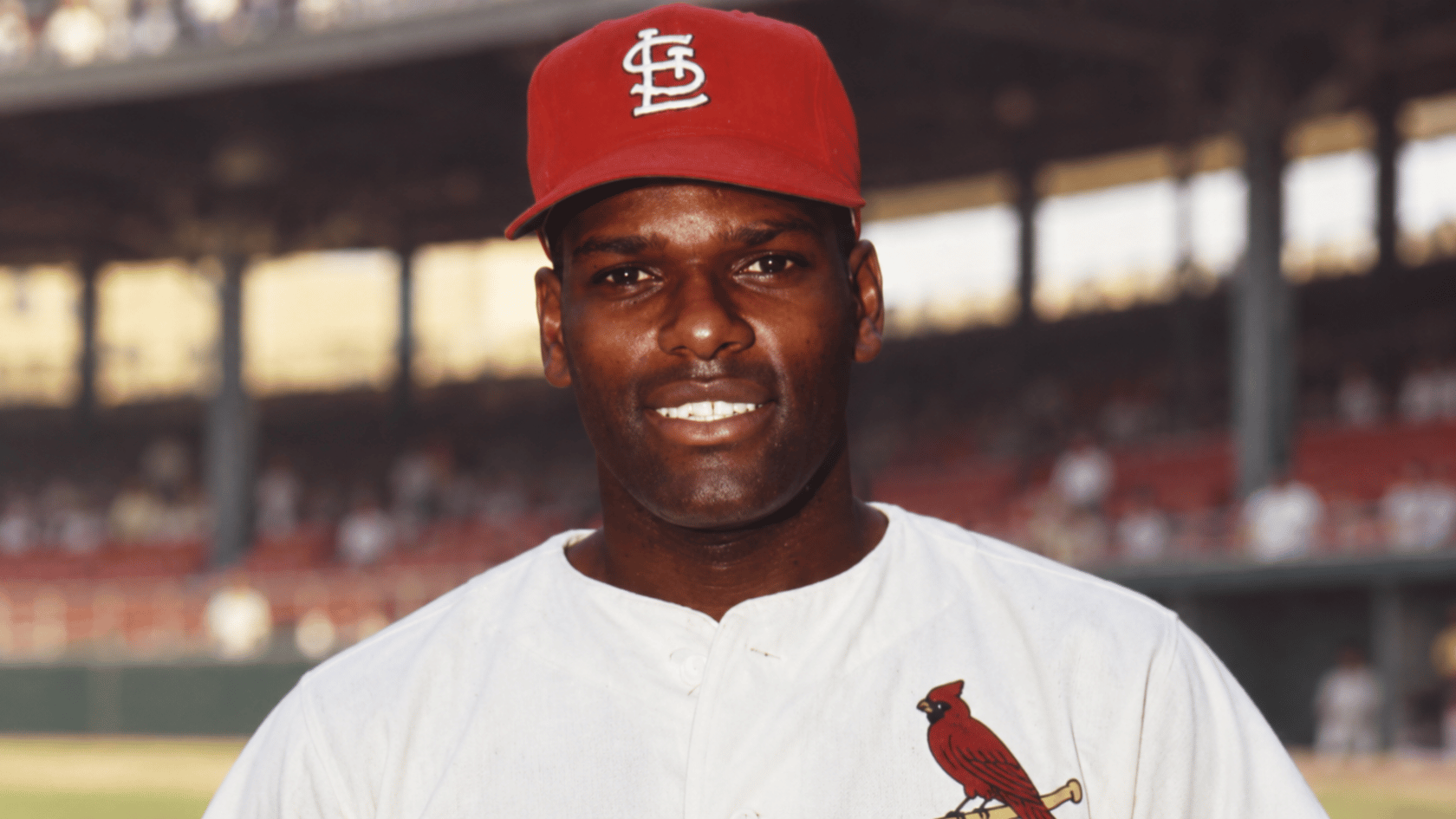 closeup portrait of a st louis baseball pitcher wearing a red team cap and white uniform