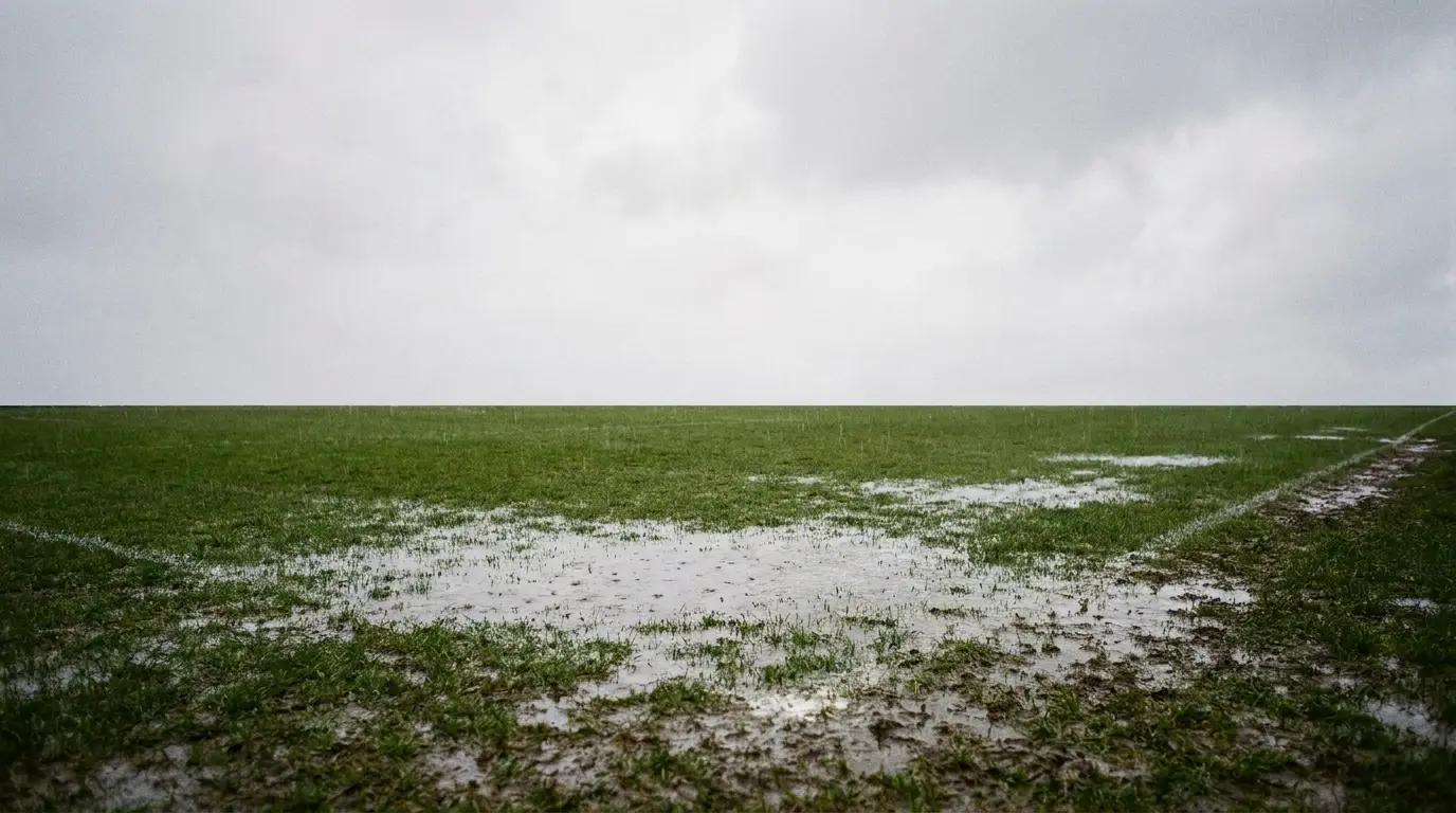 Soggy grass field with visible puddles under overcast sky